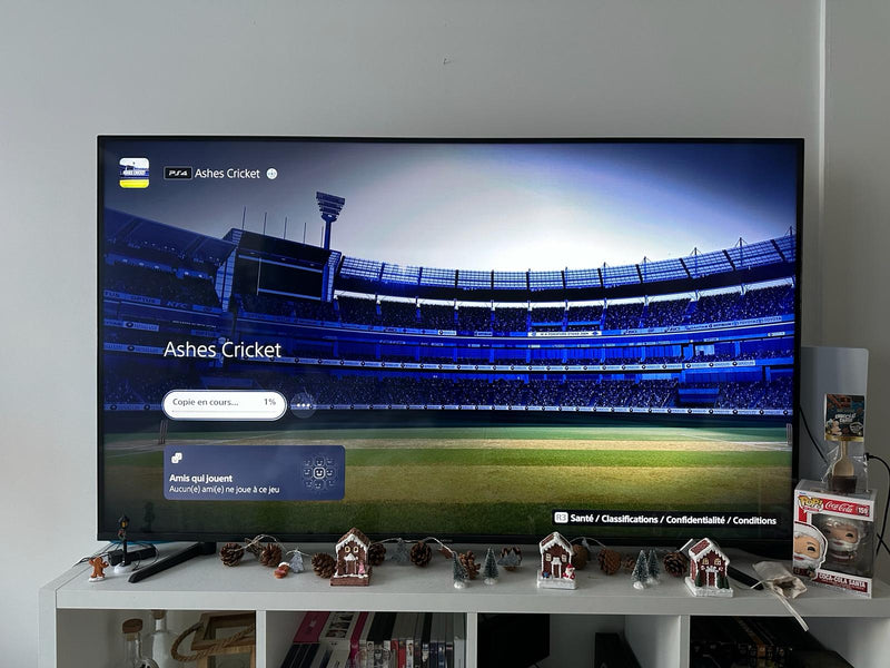 Ashes Cricket ps4 , occasion
