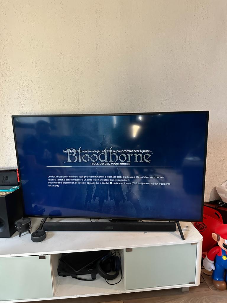 Bloodborne PS4 , occasion