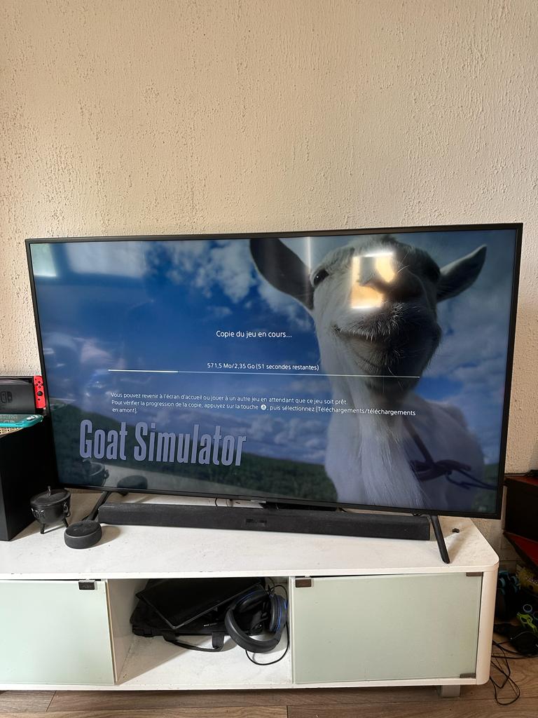 Goat Simulator Le Bundle PS4 , occasion
