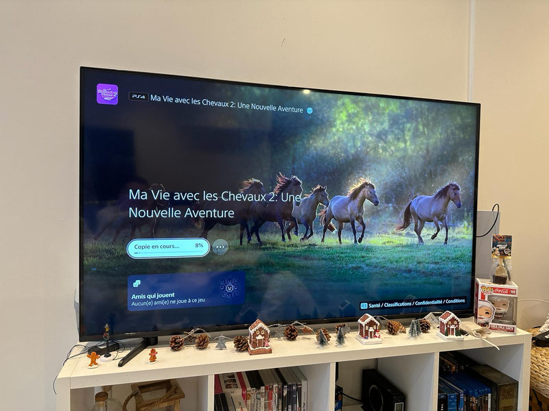 Ma Vie Avec Les Chevaux 2 : Une Nouvelle Aventure PS4 , occasion