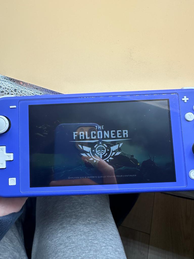 The Falconeer : Warrior Edition Switch , occasion