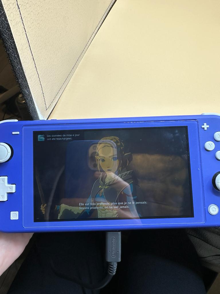 The Legend Of Zelda : Tears Of The Kingdom Switch , occasion