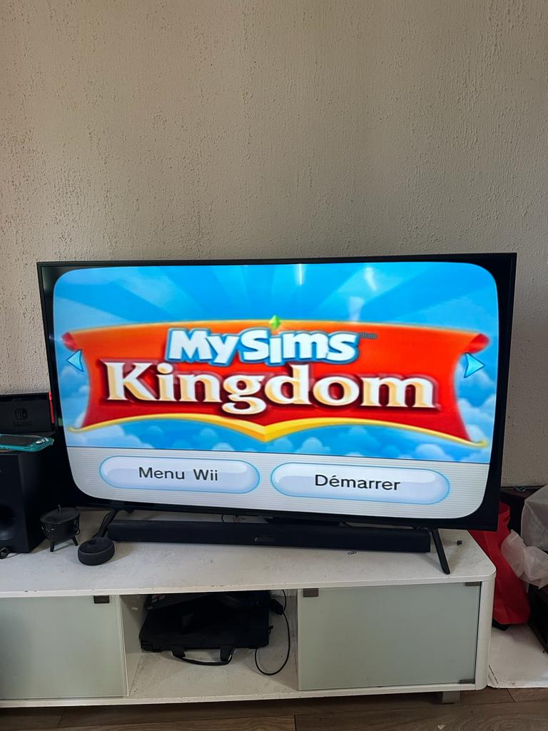 My Sims Kingdom Wii , occasion