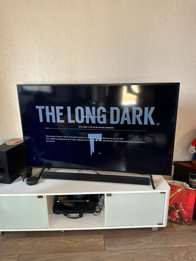 The Long Dark PS4 , occasion